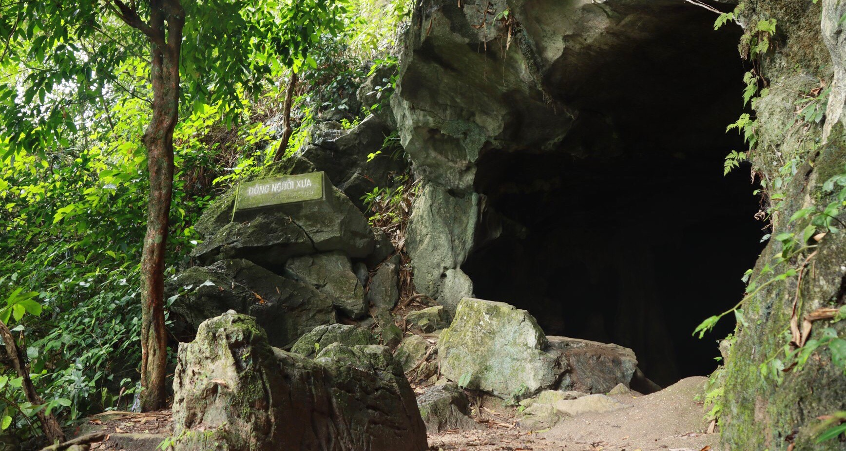 Hang Người Xưa tại Vườn quốc gia Cúc Phương, điểm dừng chân trong hành trình trekking Ninh Bình.