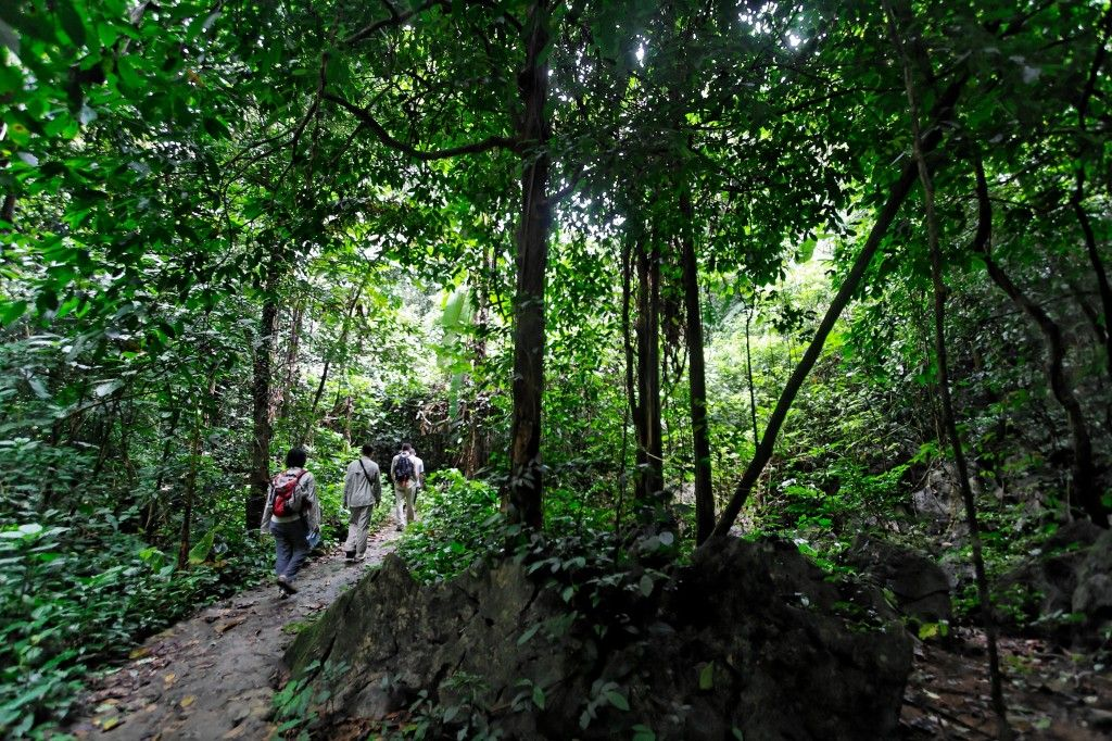 Rừng Cúc Phương mùa xuân xanh mát là thời điểm lý tưởng trekking khám phá hệ sinh thái nguyên sinh.