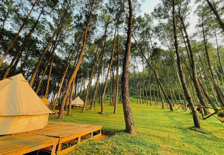 visitphuquoc