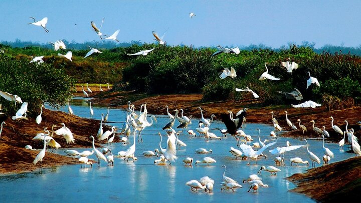 visitphuquoc