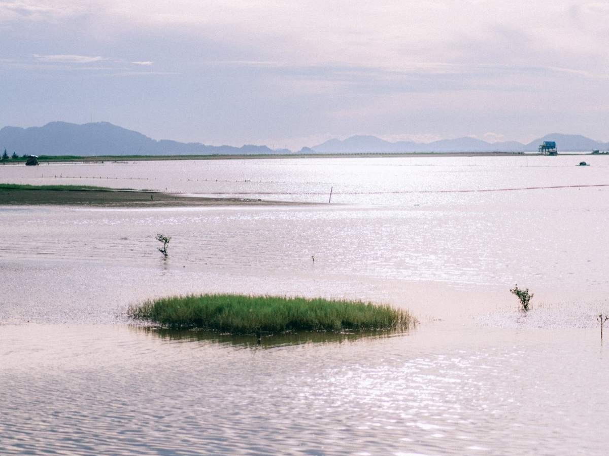 Biển Kim Sơn nằm ở xã Kim Đông, tỉnh Ninh Bình.
