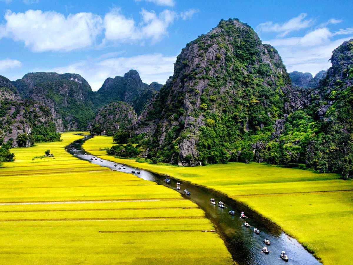 Cánh đồng lúa ở Tam Cốc trải dọc 2 bên bờ sông. (Nguồn: Sưu tầm)