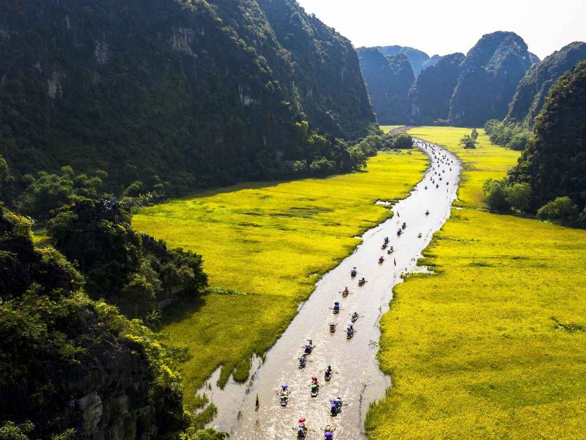 Đoàn người đi thuyền trên sông Ngô Đồng mùa lúa chín. (Nguồn: sưu tầm)
