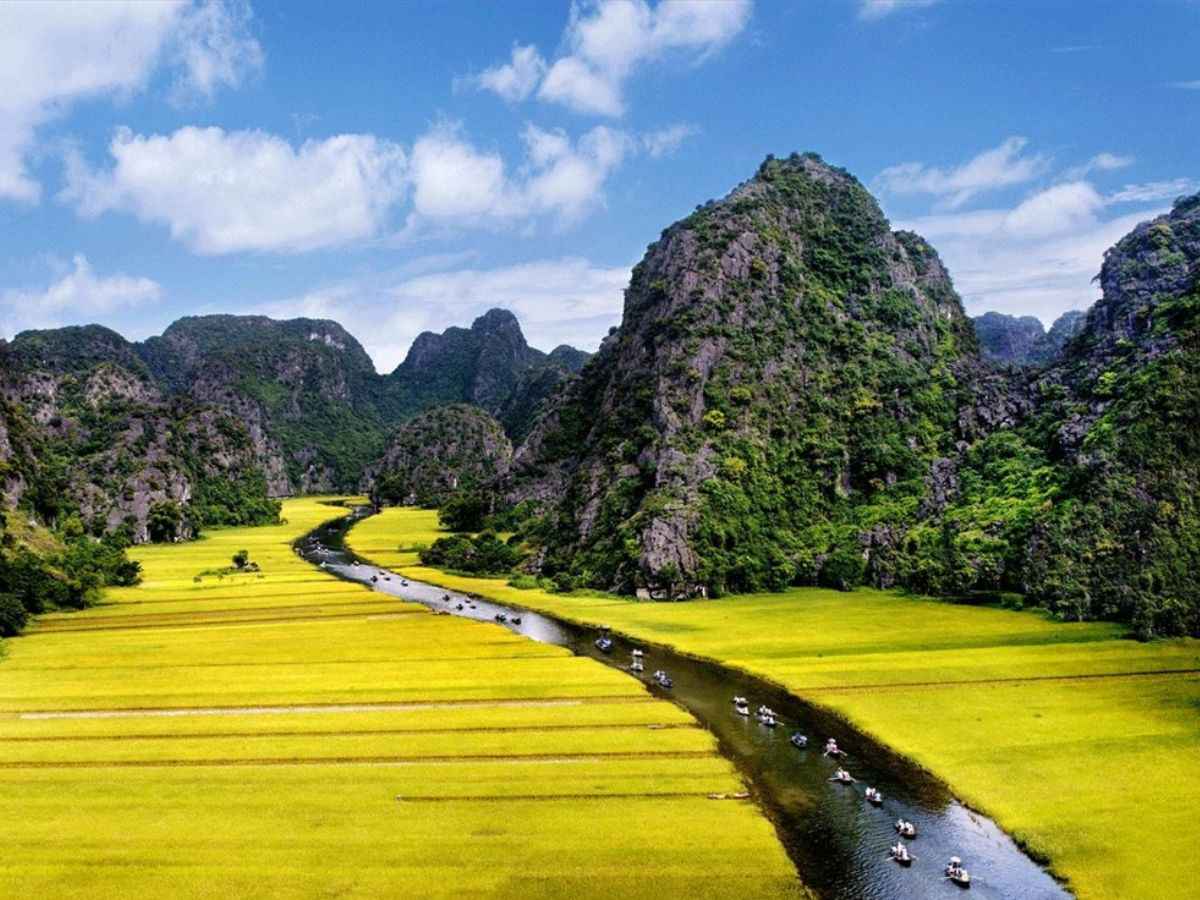 Cánh đồng lúa chín nằm dọc 2 bên bờ sông Ngô Đồng. (Nguồn: sưu tầm)