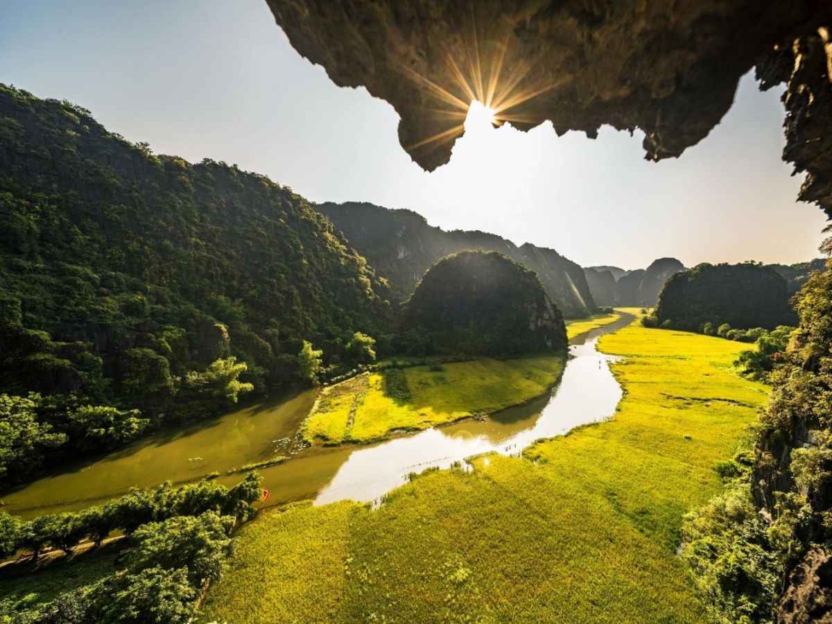 Khung cảnh cánh đồng lúa chín ở Tam Cốc với góc nhìn trên cao. (Nguồn: sưu tầm)