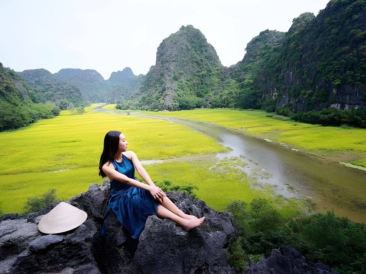 Du khách thả dáng giữa cánh đồng lúa vàng rực ở Tam Cốc. (Nguồn: Sưu tầm)