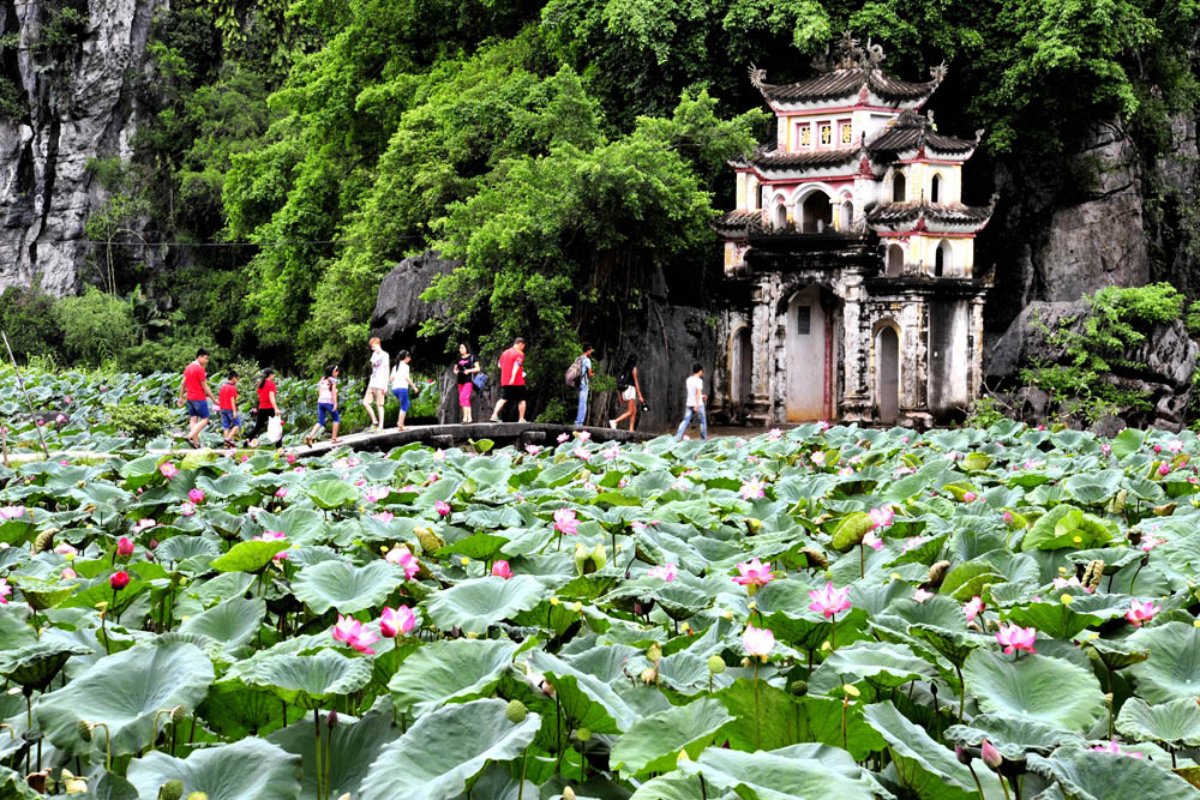 Khung cảnh hồ sen nở rộ bên công trình tâm linh cổ, tạo nên không gian thanh tịnh. (Nguồn: Sưu tầm)