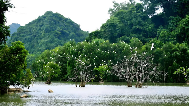 visitphuquoc