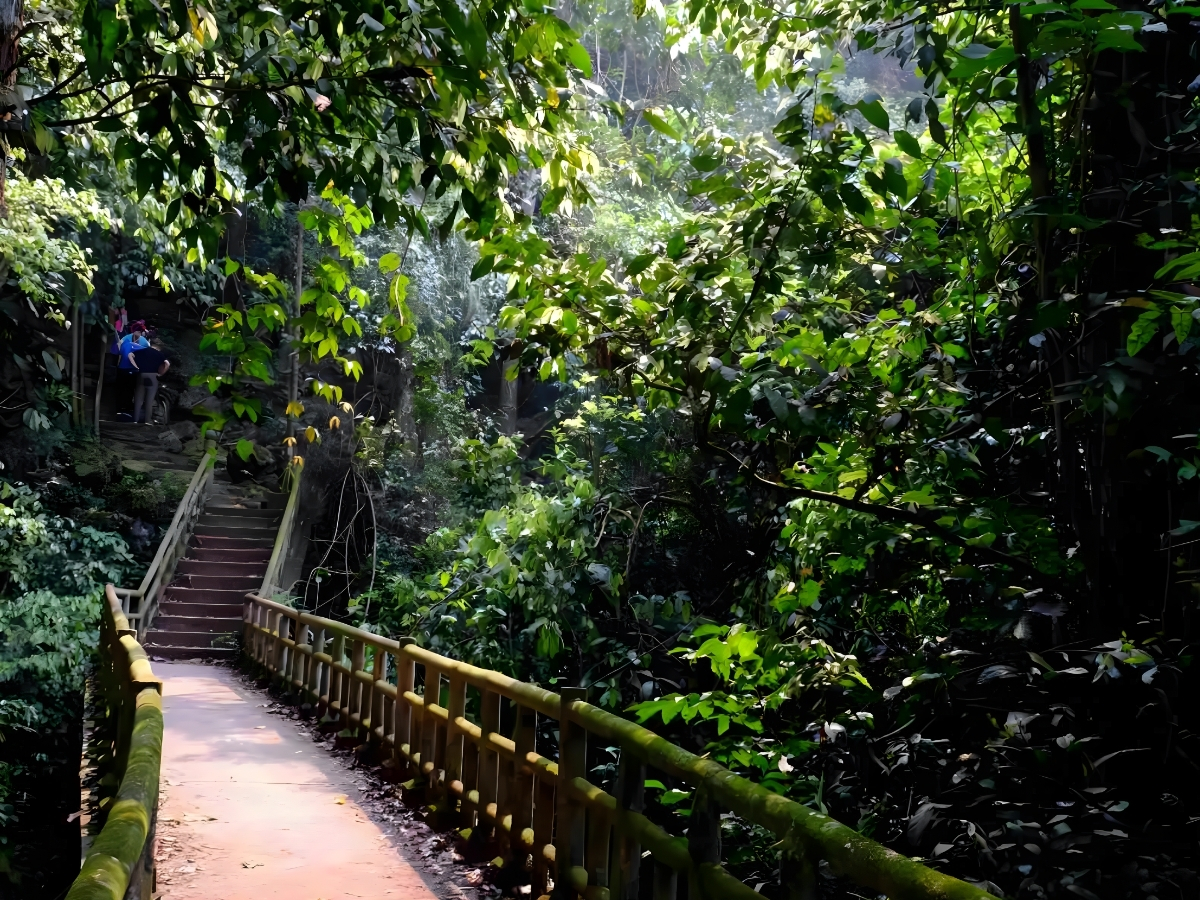 Con đường mòn uốn lượn dẫn du khách khám phá rừng Cúc Phương.