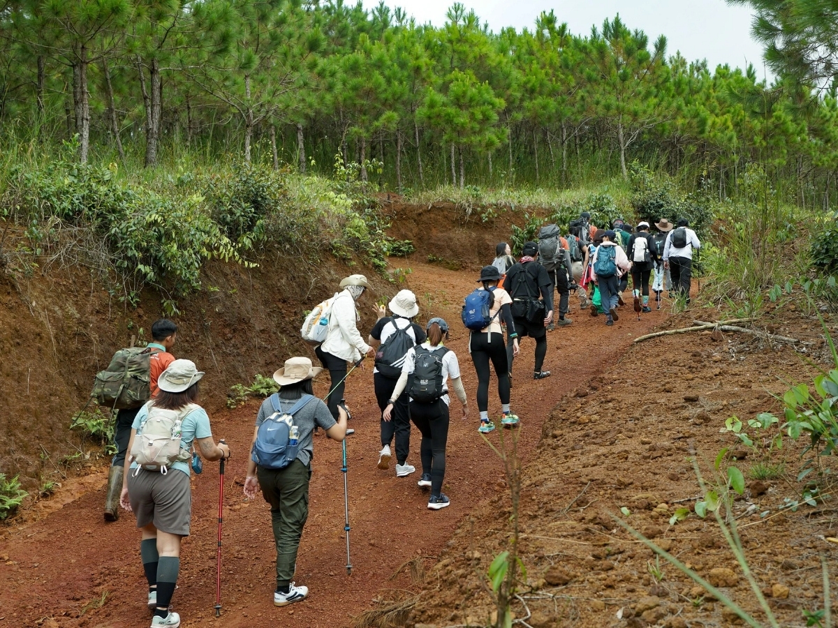 Nhóm du khách sử dụng thêm gậy chống nhằm tiết kiệm sức khi trekking đường rừng.