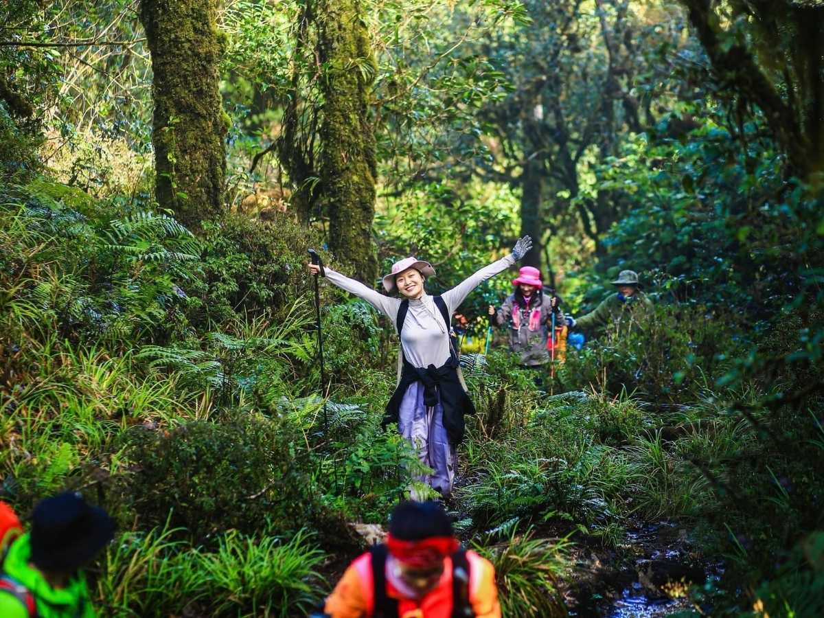 Du khách trekking trong rừng xanh, giang tay tận hưởng không khí trong lành.