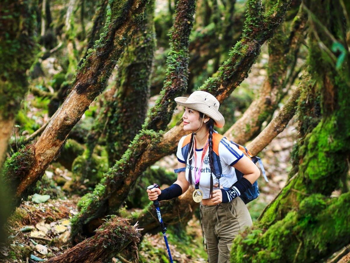 Du khách mang balo trekking và hào hứng khám phá khu rừng.