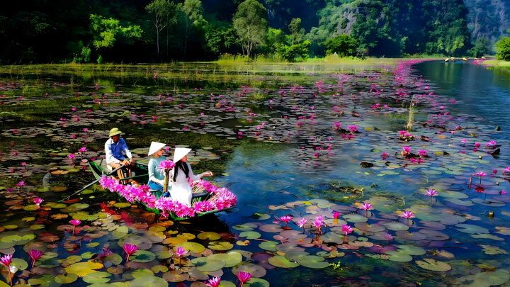 visitphuquoc
