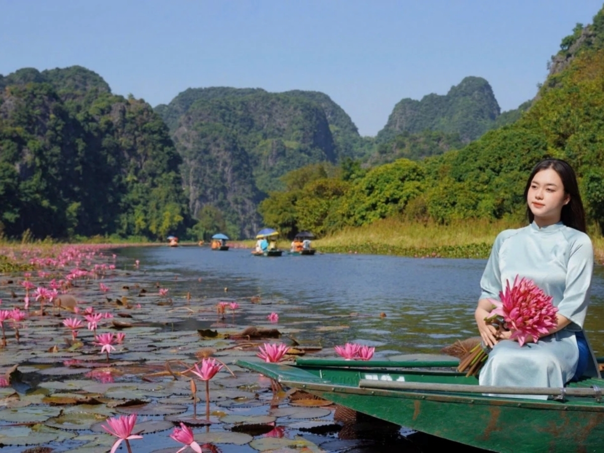 Nàng thơ tạo dáng ngồi trên thuyền giữa đầm hoa súng rực rỡ.