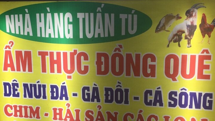 visitphuquoc
