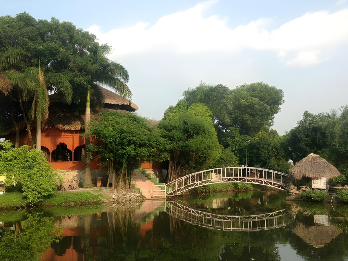 Nhà hàng lá cọ 2 sở hữu khung cảnh nên thơ cho nhà hàng.