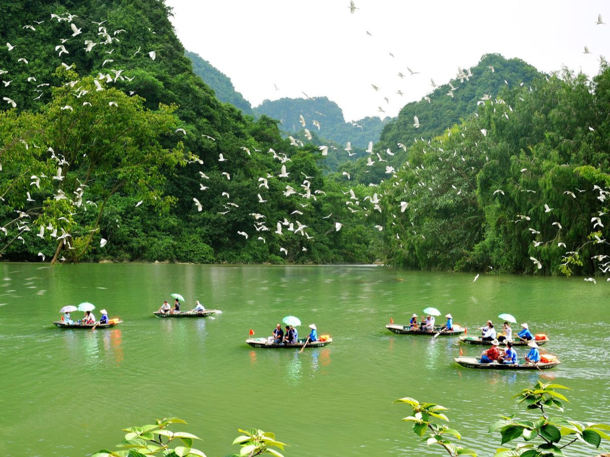 Khu vườn chim Thung Nham đa dạng sinh học nằm gần resort. (Nguồn: Sưu tầm)