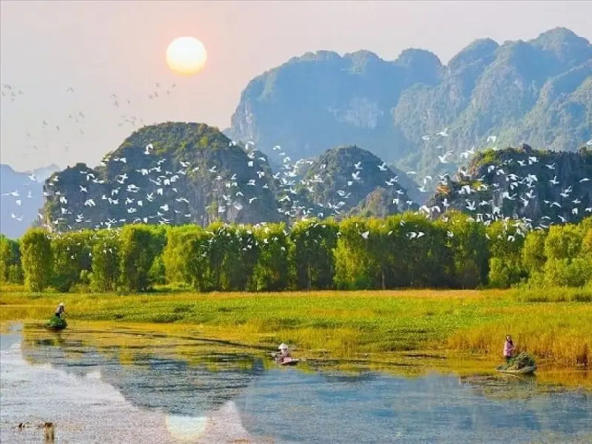 Đàn chim trở về giữa khung cảnh núi rừng Thung Nham, tạo nên bức tranh thiên nhiên đặc sắc của Ninh Bình. (Nguồn: Sưu tầm)