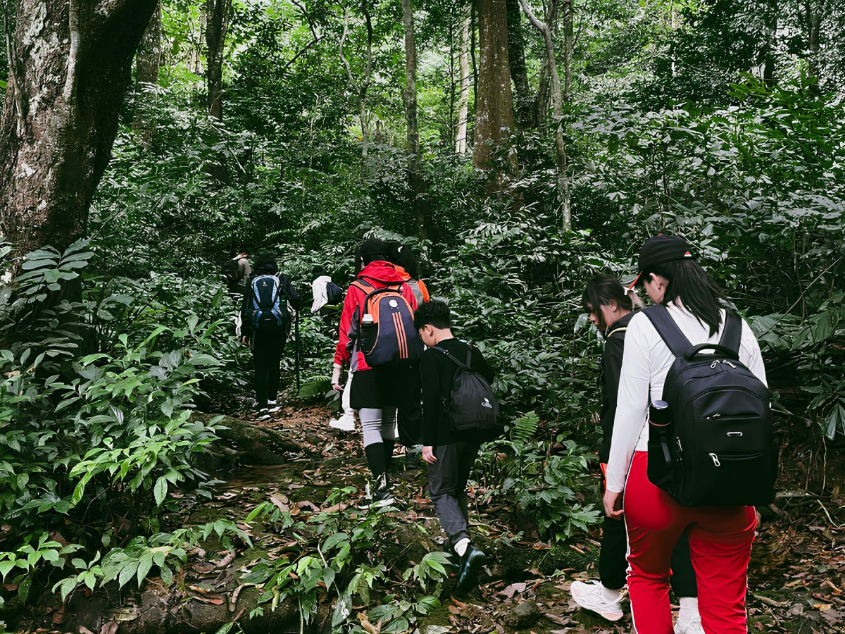 Du khách bắt đầu hành trình trekking giữa những tán rừng xanh mát của Vườn quốc gia Cúc Phương. (Nguồn: Sưu tầm)