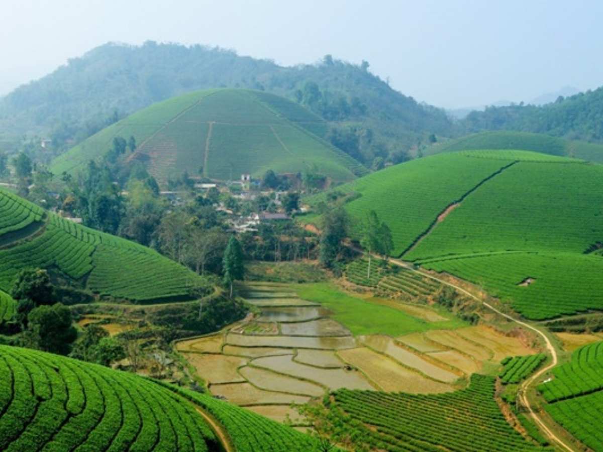 Thung lũng Mai Châu với ruộng lúa và bản làng giữa núi rừng. (Nguồn: Sưu tầm)