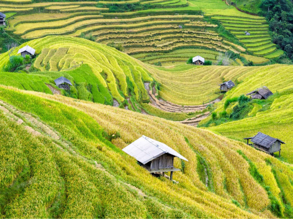 Mai Châu tháng 10 cuốn hút bởi vẻ đẹp mộc mạc. (Nguồn: Sưu tầm)&nbsp;