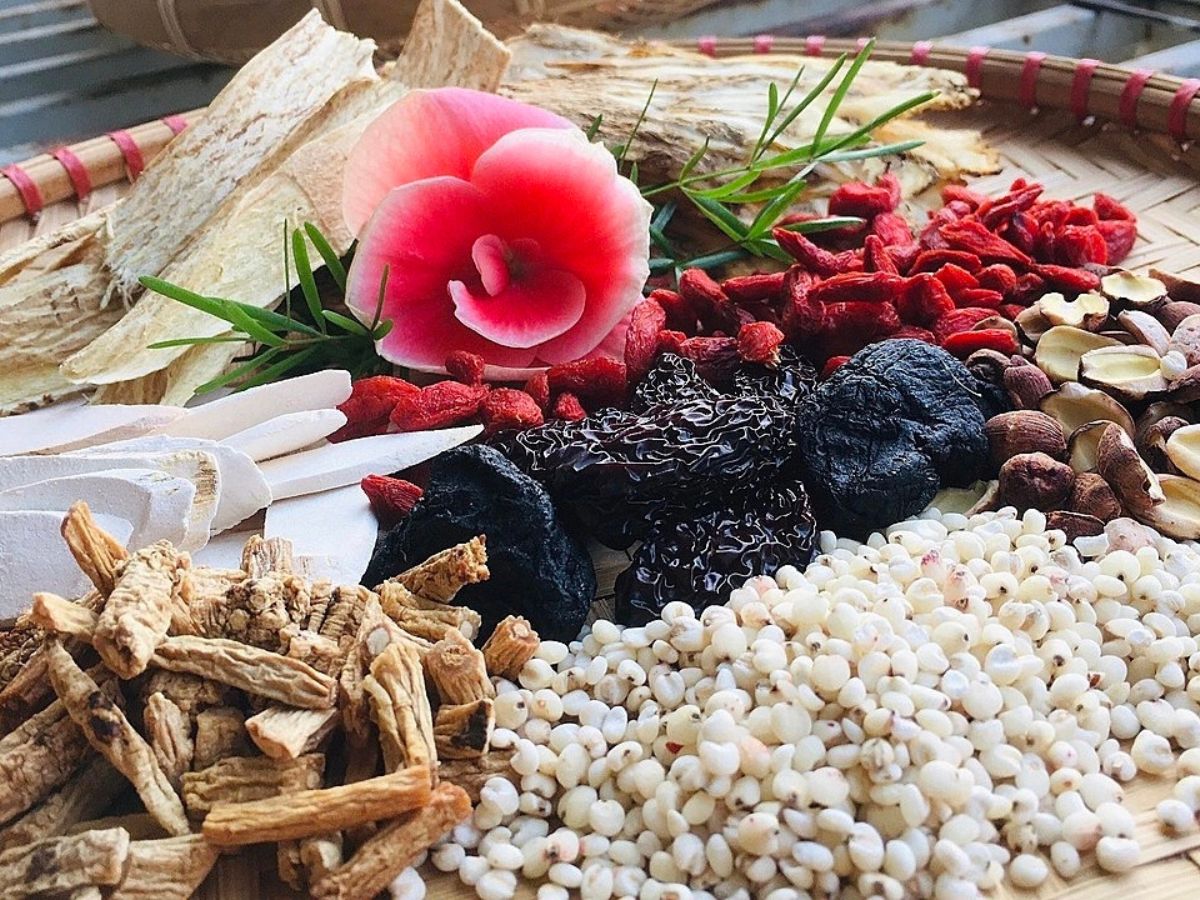 Men được sử dụng nấu rượu Vọc được chọn từ 36 vị thuốc Bắc