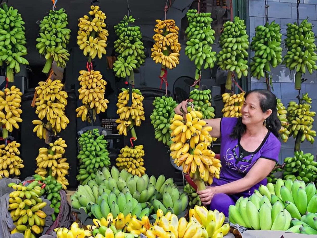Chuối ngự Đại Hoàng thường xuyên “cháy hàng” dù có giá bán khá cao.