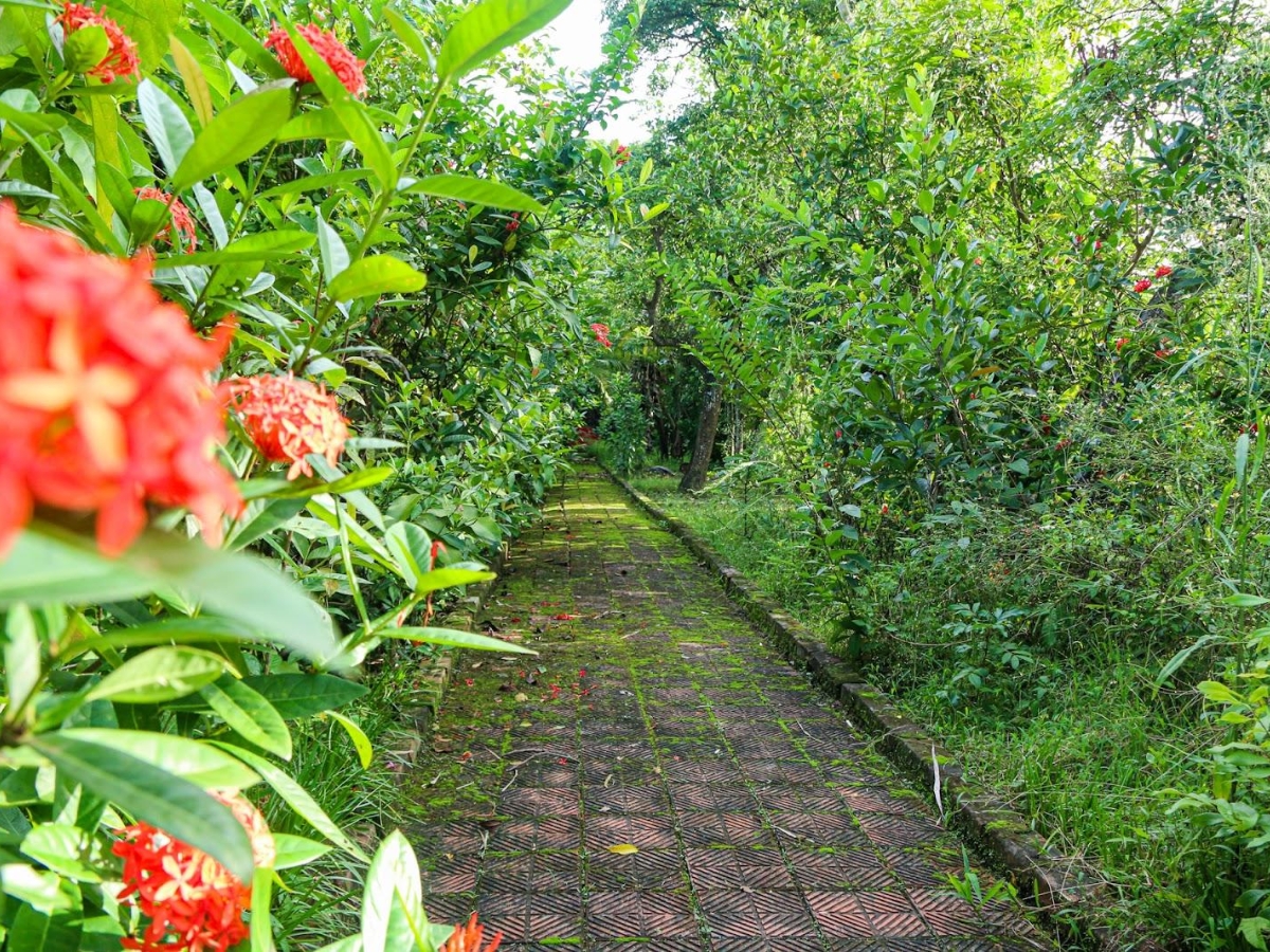 Cần giữ sự trang nghiêm, lịch sự khi ghé thăm từ đường Nguyễn Khuyến.