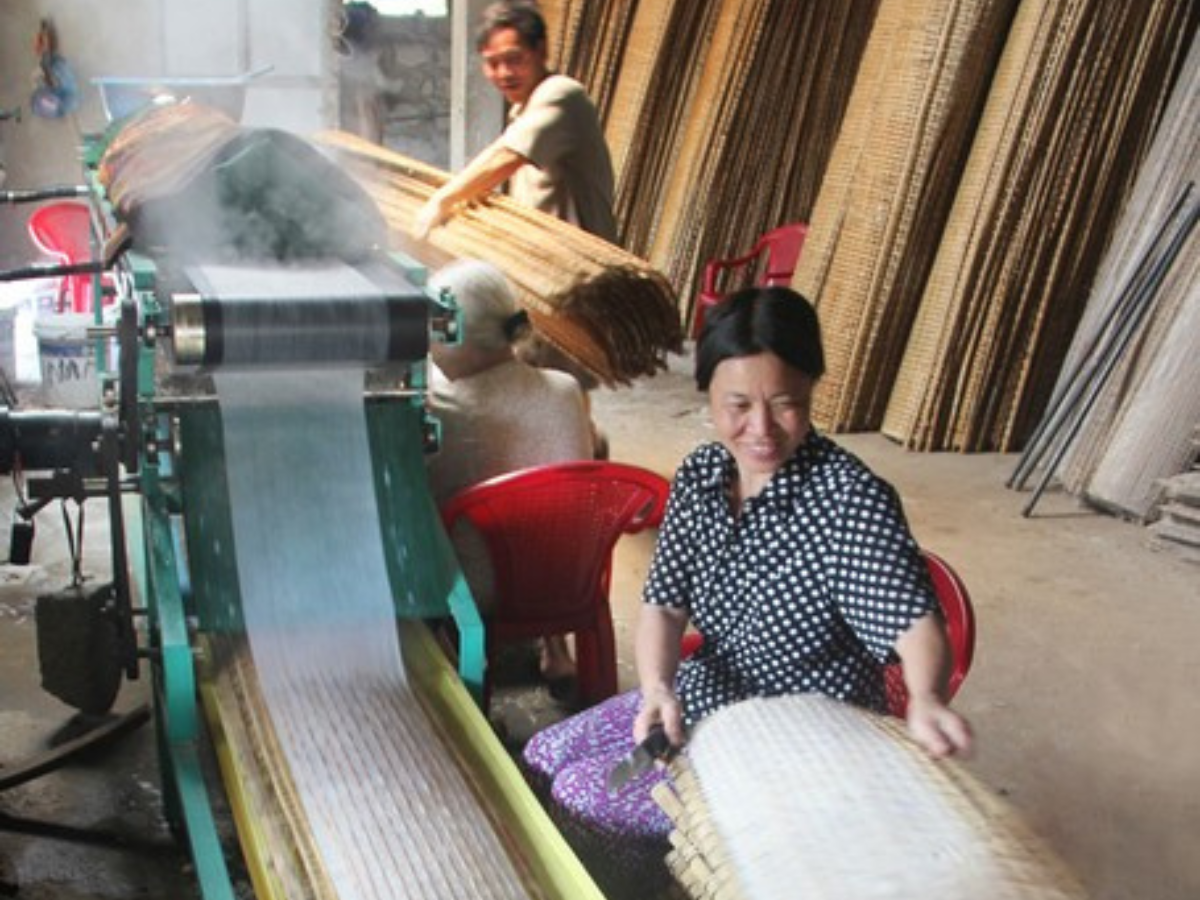 Nghề bánh đã tạo việc làm cho nhiều đối tượng khác nhau.