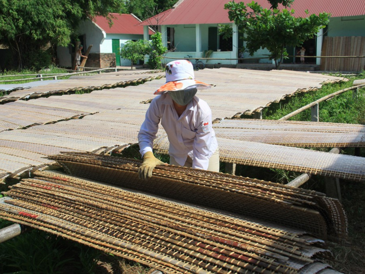 Linh hồn của bánh đa nem làng Chều chính là gạo tẻ.