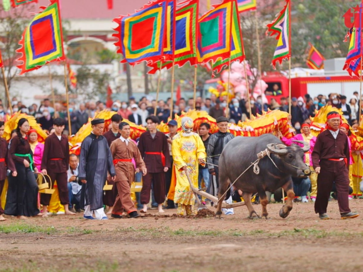 Lễ hội Tịch Điền tái hiện lại cảnh vua đi cày tại Hà Nam
