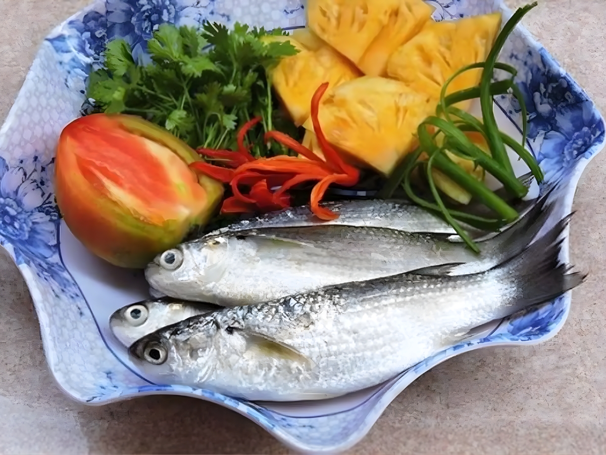 Cá đối giàu dinh dưỡng và tốt cho sức khỏe. 