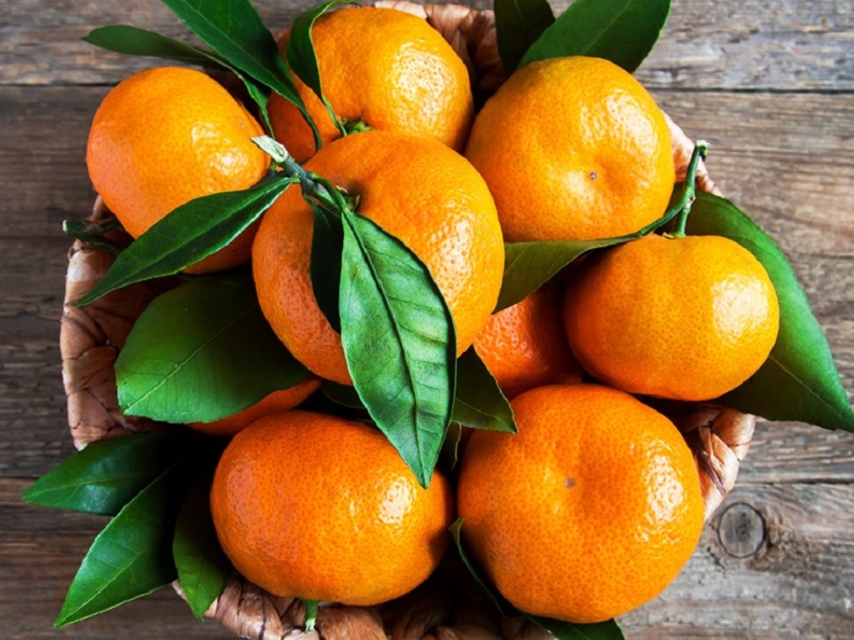 Quýt Lý Nhân có hàm lượng vitamin C dồi dào, tốt cho sức khỏe.