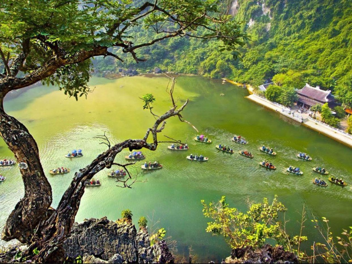 Tuyệt Tình Cốc với cảnh sắc yên bình, thơ mộng. 