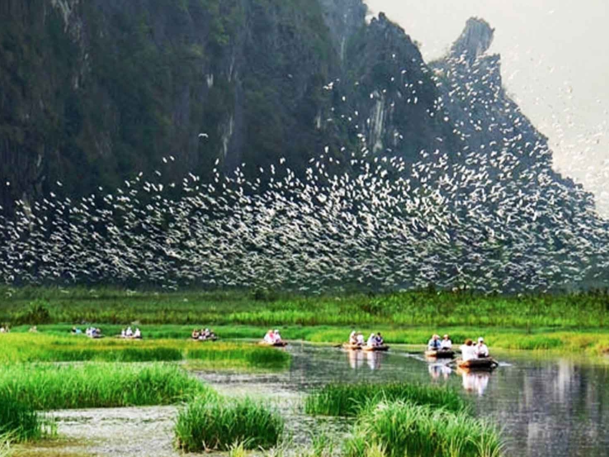 Vườn chim Thung Nham là nơi tụ hội nhiều loài chim quý.