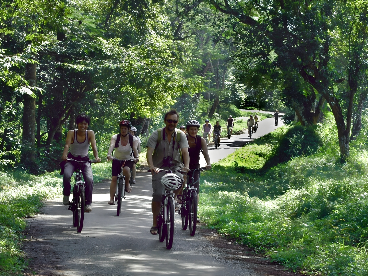 Đạp xe dạo quanh rừng Cúc Phương và tận hưởng không khí trong lành nơi đây. 