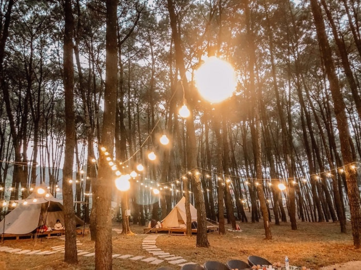Cắm trại giữa rừng thông mang lại trải nghiệm gần gũi với thiên nhiên. Cắm trại giữa rừng thông mang lại trải nghiệm gần gũi với thiên nhiên.