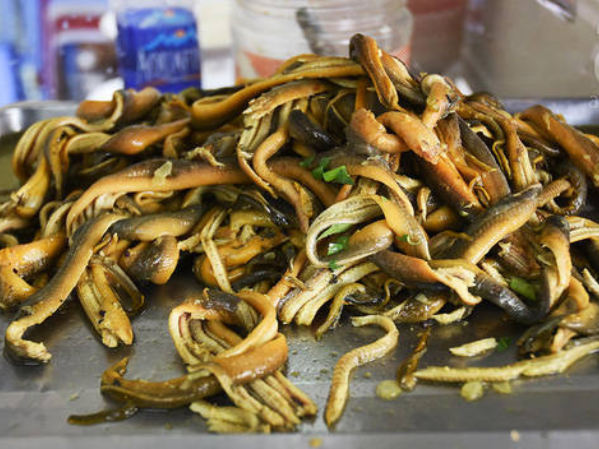 Lươn để nấu miến phải là loại lươn tươi ngon chắc thịt mới dậy hương vị đặc trưng